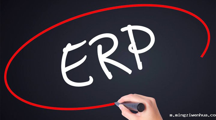 如何利用化工材料ERP软件实现生产流程监控？